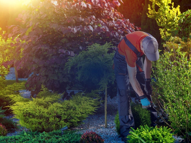 Jardinagem e Paisagismo em Geral Jardinagem e Paisagismo em Geral